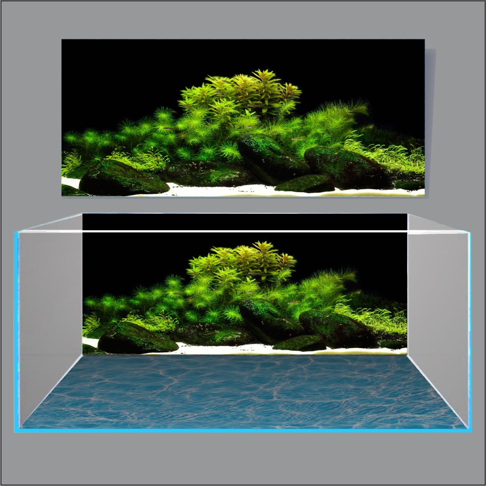 TRANH THỦY SINH DÁN HỒ CÁ 3D NEW DESIGN_TRANH LƯNG