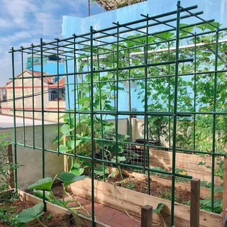 Cọc nhựa lõi thép - cọc cắm hồng, thanh cắm hồng, làm giàn leo tree phi 8