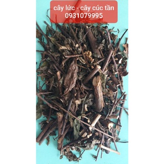 Cây cúc tần - cây lức phơi khô 1kg