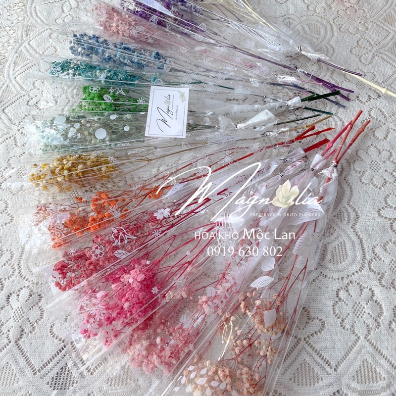 [HÀNG A+] Hoa khô baby trắng cao cấp, bông decor trang trí để bàn, phòng khách, phòng ngủ