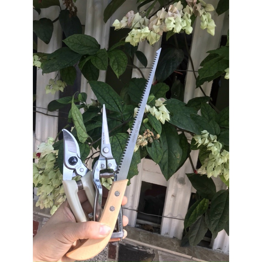 (Tiết Kiệm) SET Bộ 3 Dụng Cụ Cắt Tỉa Cây Cảnh, Bonsai Hàng Nhật Bản
