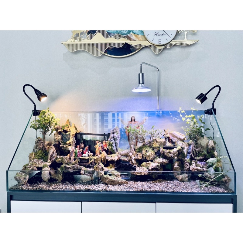 Hồ cá tiểu cảnh phong cách Công giáo độc đáo by Kelsey Mặt Trời Vàng