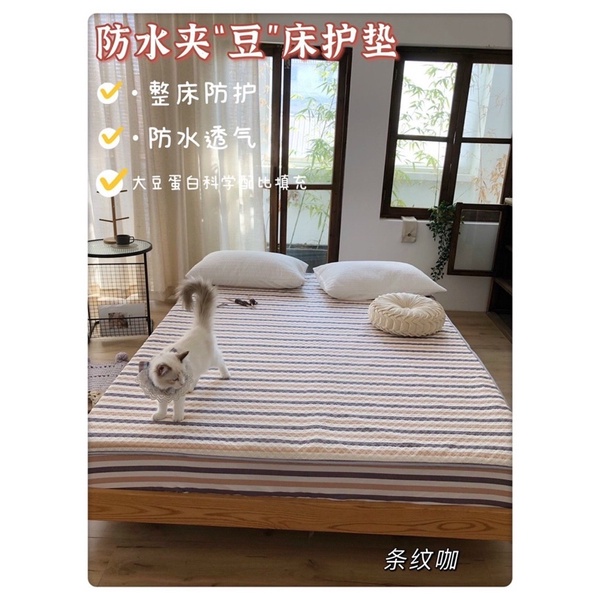 Ga Chống Thấm Trần Bông Xơ Đậu Nành Muji, ga giường Chống Thấm Nước Vượt Trội 100%, Sử Dụng 4 Mùa
