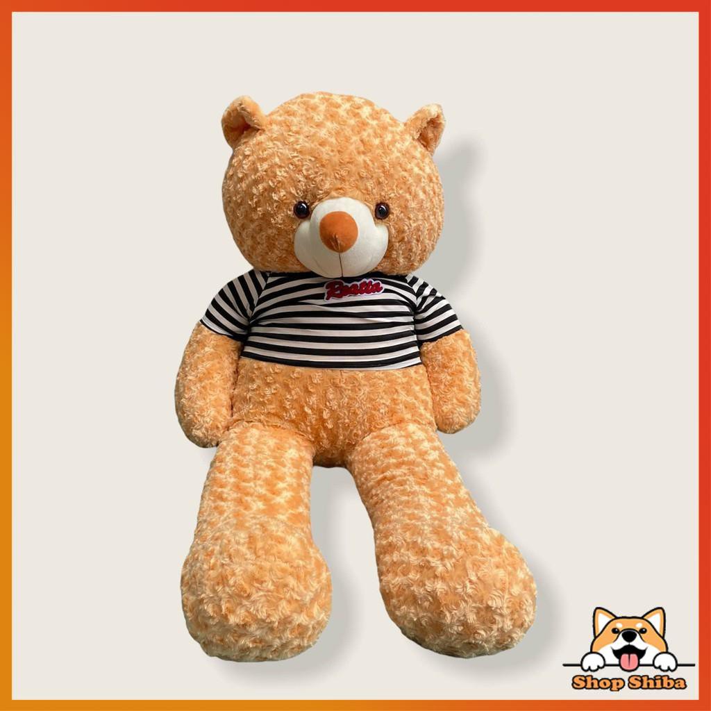 Gấu Bông Teddy 1M3 Mềm Mịn - Ôm Phê Hơn Cả Người Yêu