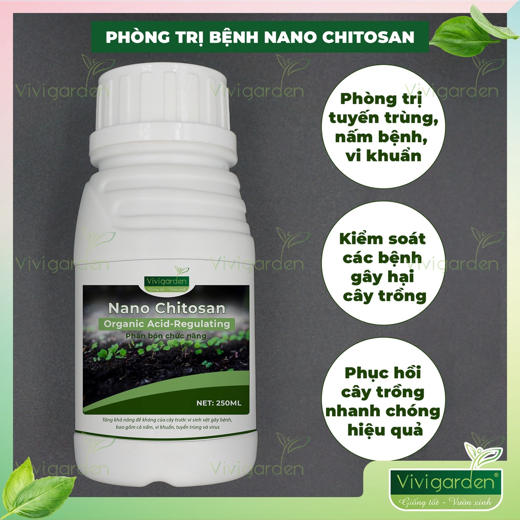 Chai 250ml Nano Chitosan sinh học xử lý nấm rỉ sắt lá, nấm bộ rễ cây, ngừa tuyến trùng, tăng đề kháng cây Vivi Garden