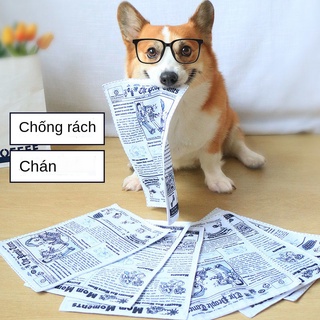 NChó phát âm đồ chơi thú cưng báo giấy mô phỏng tạo tác chống nhàm chán tương cắn Keji Teddy