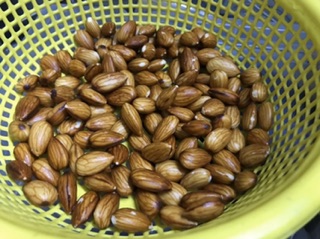 Hạnh nhân sống nhập khẩu
