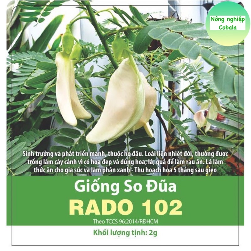 Hạt Giống So Đũa 2gr