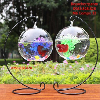 [Tặng kèm phụ kiện ] combo 2 bể cá mini 33