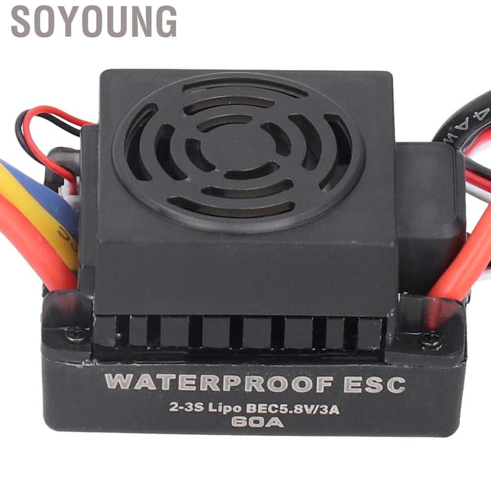 RC Động Cơ Không Chổi Than Đậu Nành 3650 4300kv 60a Esc Cho Xe Điều Khiển Từ Xa Tỉ Lệ 1 / 10