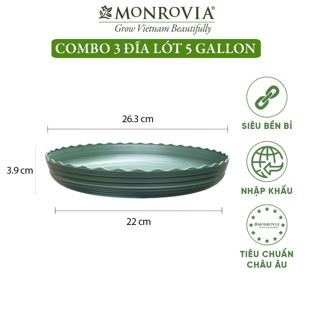 Combo 3 Đĩa lót chậu nhựa trồng cây MONROVIA 5gl, chậu trồng cây, chậu cây cảnh mini, để bàn, treo ban công, treo tường