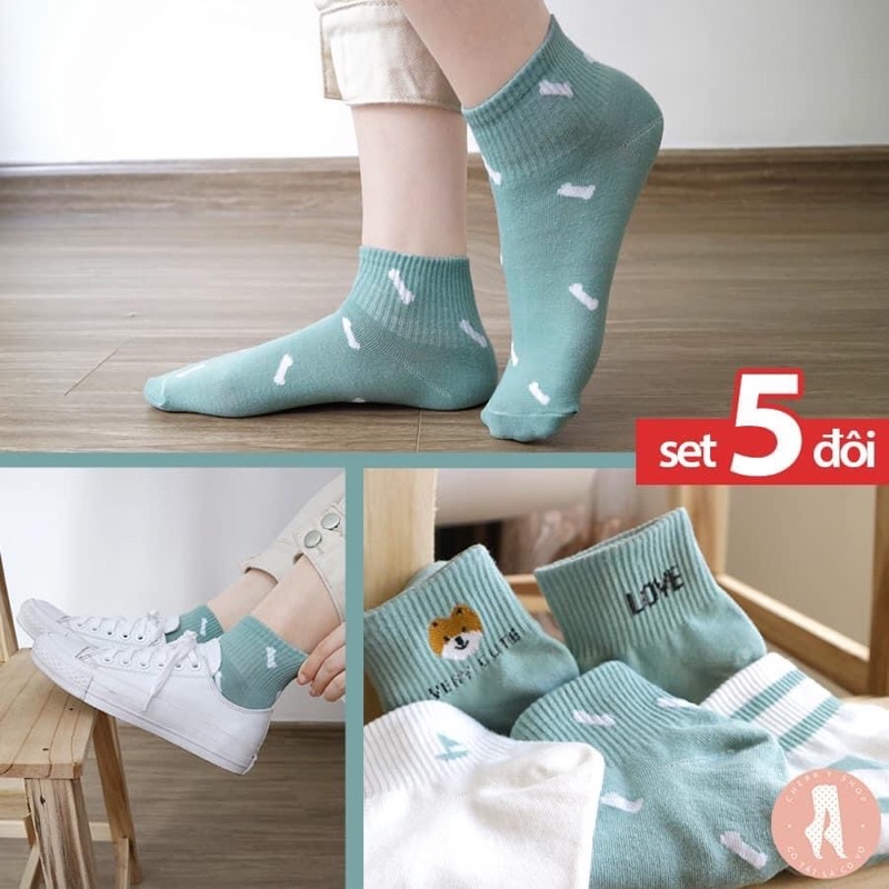 [Combo Sét 5 Đôi] Tất Cổ Cao Hình Hoạ TiếtFreeshipTất Phong Cách Ulzzang Phối Đồ siêu cute, Co dãn Nhiều Màu