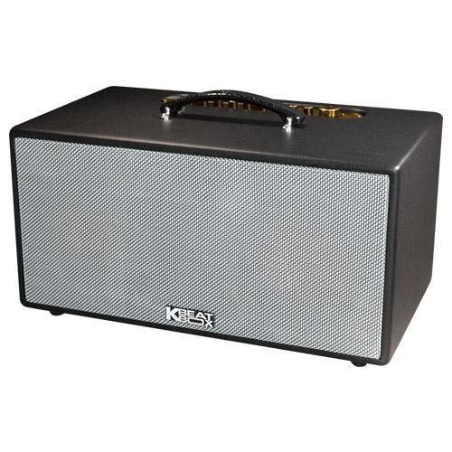 Loa kéo - Loa di động ACNOS CS450, công suất lớn, tích hợp cặp micro UHF cao cấp - Công Ty Thiên Phúc