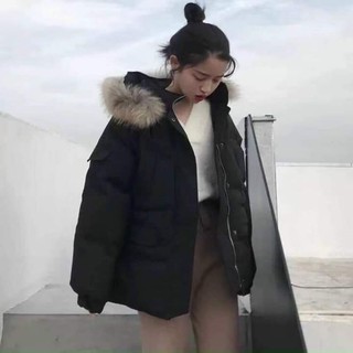 Áo phao khách đặt trên live