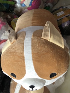 Combo 2 Gối Chó shiba