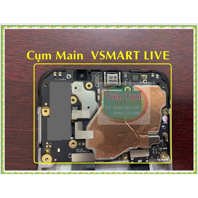 [Mã 1511ELSALE hoàn 7% đơn 300K] Cụm main Live - Vsmart