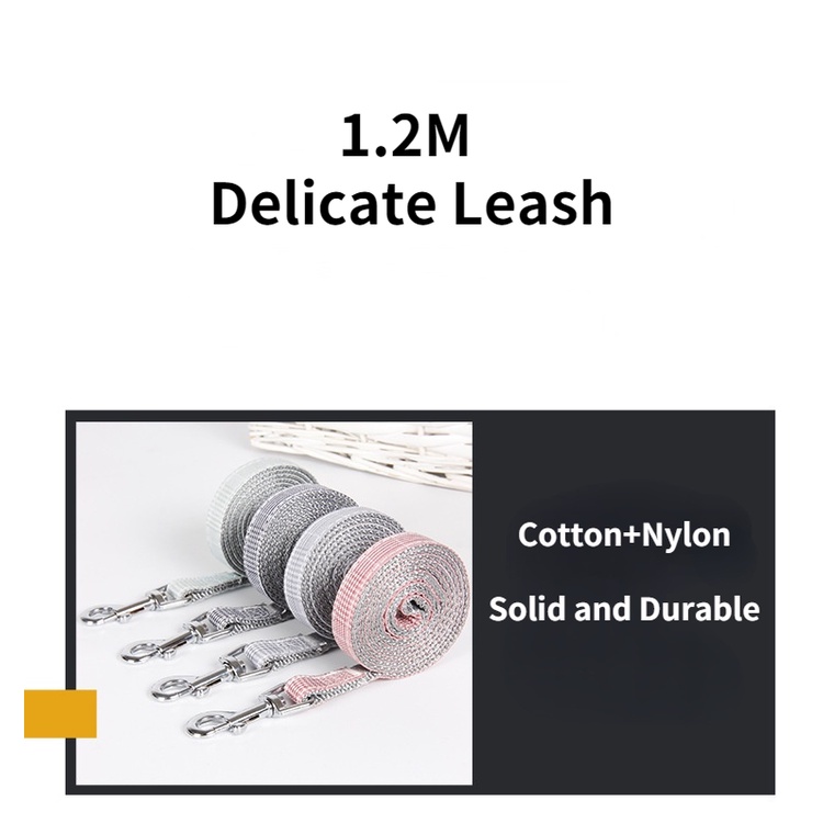 Dây Dắt Thú Cưng Đi Dạo Ngăn Chặn Bệnh Dịch
