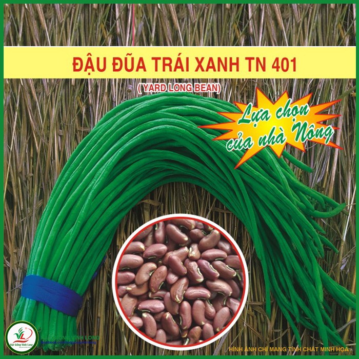 Hạt giống Đậu đũa trái xanh TN 401