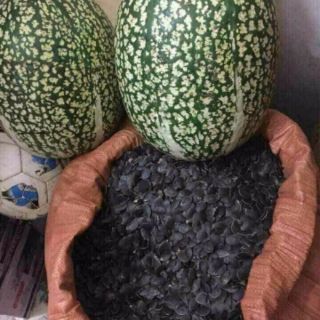 HẠT BÍ MÈO ĐEN rang sẵn(1kg)