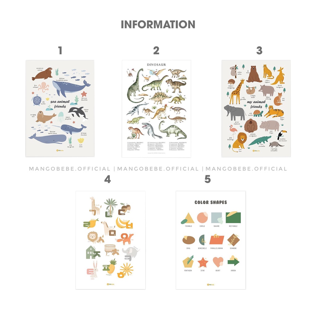 Bảng giáo dục treo tường Rirebebe Hàn Quốc