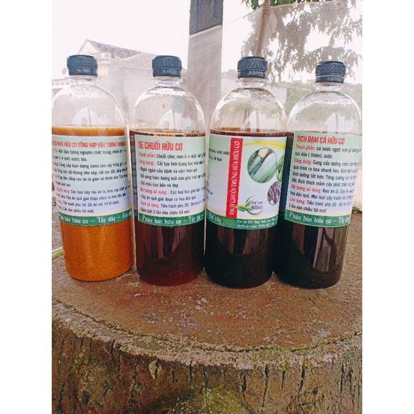 Phân chuối trứng sữa 900 ml hữu cơ