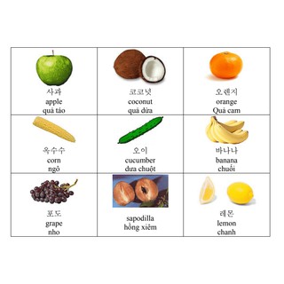 Sách-Từ Điển Tiếng Hàn Qua Tranh