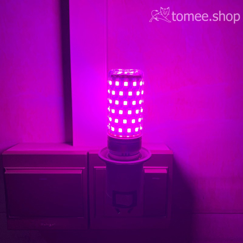 Đèn LED Tiktok đổi màu 3 trong 1 tạo hiệu ứng màu Hồng, Xanh, Tím Đèn Led trang trí nhà cửa