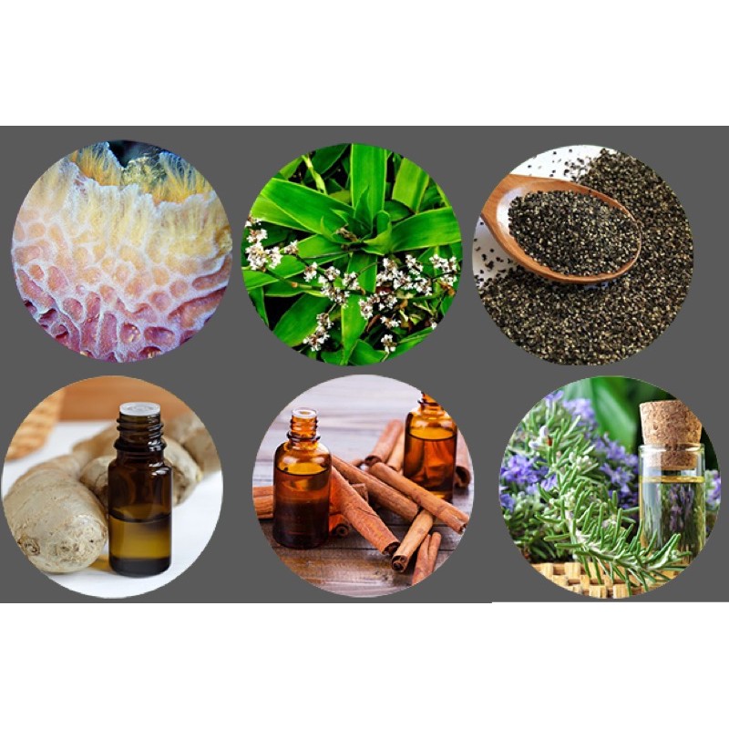date mới - kem khớp hàng chuẩn nội địa Nga