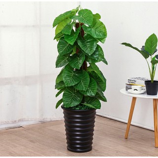 Cây Trầu Bà Giả Kèm Chậu