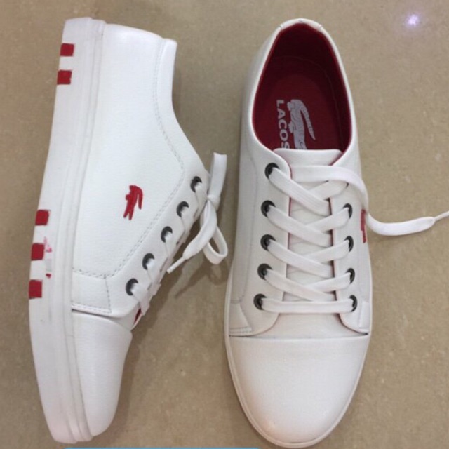  Giày lacoste