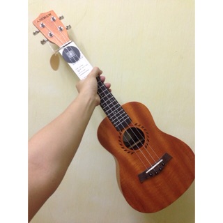 ukulele andrew concert