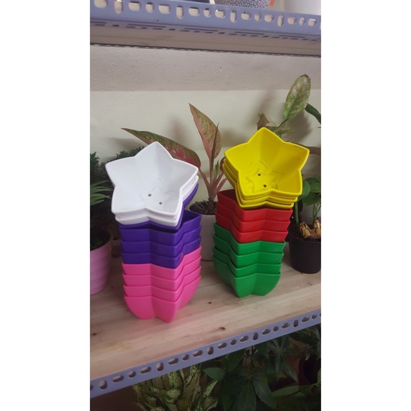 (RẺ VÔ ĐỊCH) Chậu nhựa hình sao, siêu đáng yêu KT 12x6cm