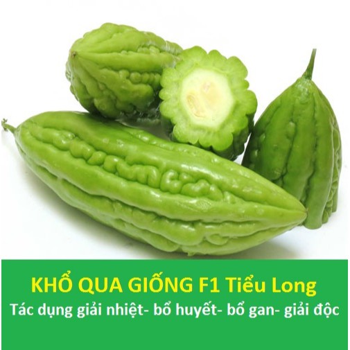 Hạt giống khổ qua F1 - khổ qua tiểu long siêu trái