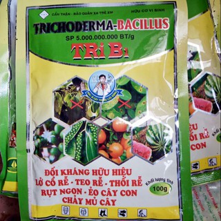 Trichoderma Bacillus 100gr - chế phẩm vi sinh kháng nấm