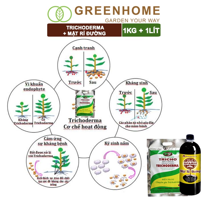 Combo Nấm đối kháng Trichoderma 1kg, mật rỉ đường Sfarm 1kg, ủ phân bón, ủ đậu nành, ủ rác thải nhà bếp | Greenhome