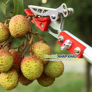 Kéo cắt cưa cành trên cao 3M hàng nhập khẩu Đài Loan - K6
