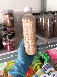 Yến mạch cho Hamster
