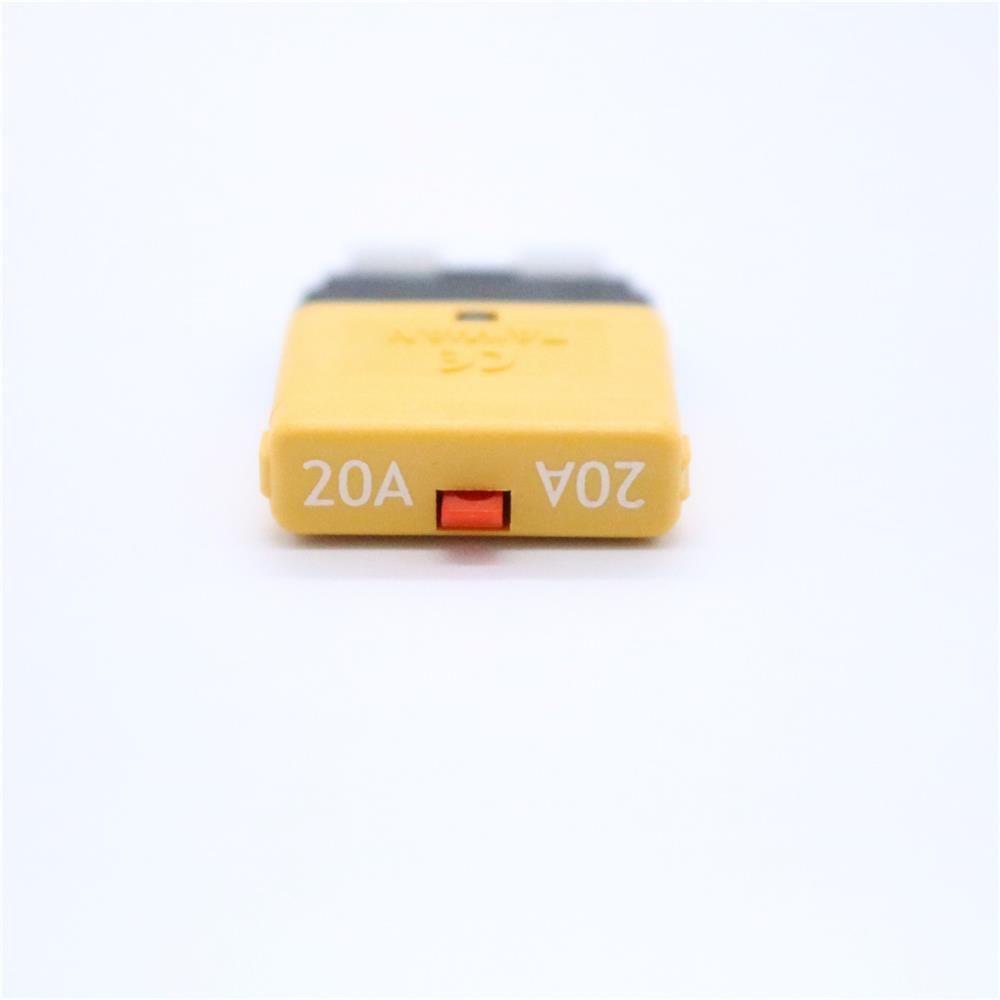 MYRONGVN Cầu Chì 20A Cho Xe Hơi / Xe Tải / Tàu Thuyền