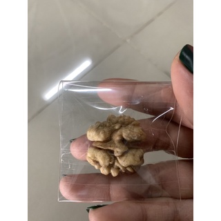 1k hạt óc chó cho hamster