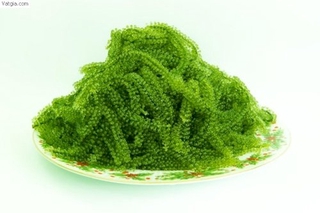 Rong nho tách nước 100g