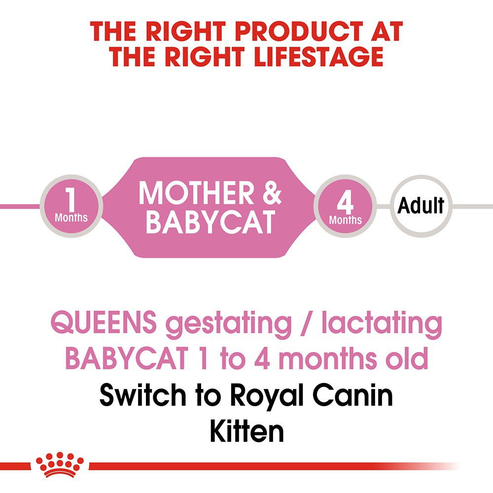 [Mã 99FMCGSALE giảm 8% đơn 500K] Hạt cho mèo Royal canin mother baby cat 2kg 4kg mèo mẹ mèo bầu mèo con Con Mèo Xiêm