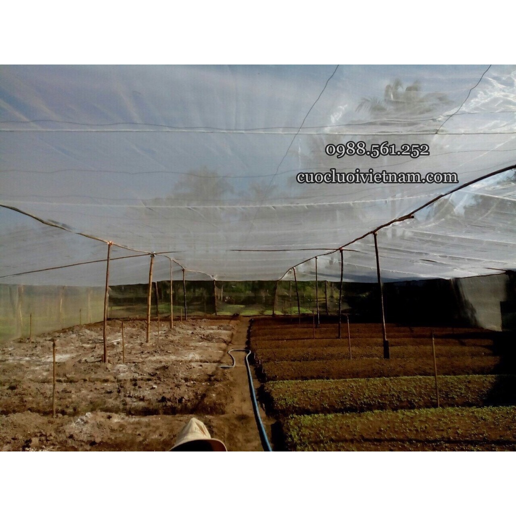5m x 1,5m Lưới Phù Du chắn bụi mịn -  côn trùng, lưới chắn gió cản mưa che rau sạch cao cấp