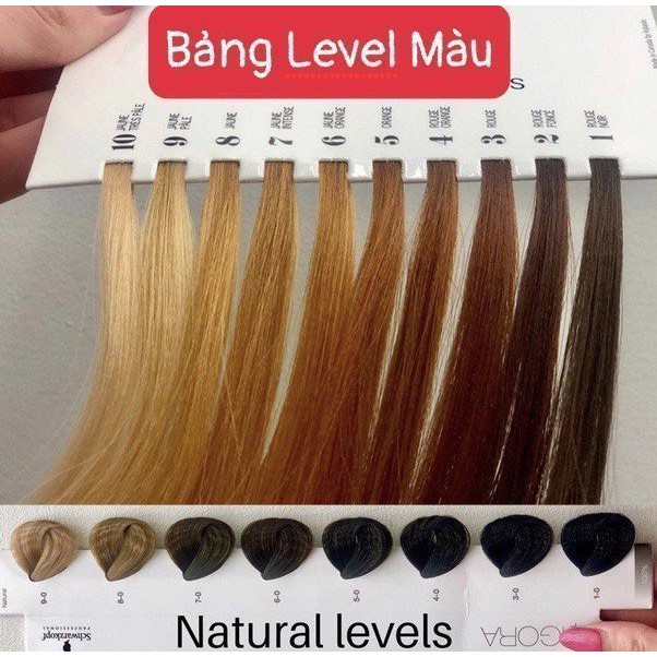 Thuốc Nhuộm Tóc Nâu Đỏ Ánh Tím Kèm Trợ Nhuộm Dark Intense Mahogany Blonde 6/55