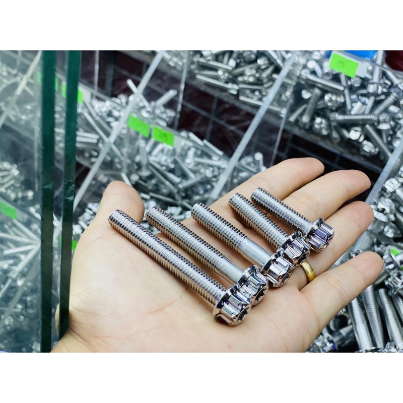 Ốc SALAYA INOC 304 size 8ly và 10ly