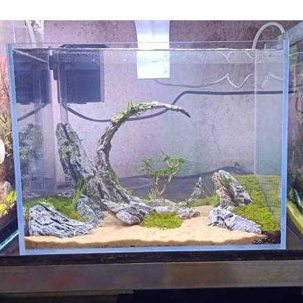 Đá vỉa - setup hồ thủy sinh