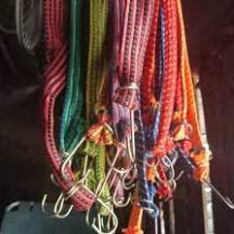 DÂY CHUN ,DÂY RÀNG BUỘC HÀNG, DÂY CHUN CAO SU BỌC VẢI DÙ NGOÀI DÀI 1.5M HN