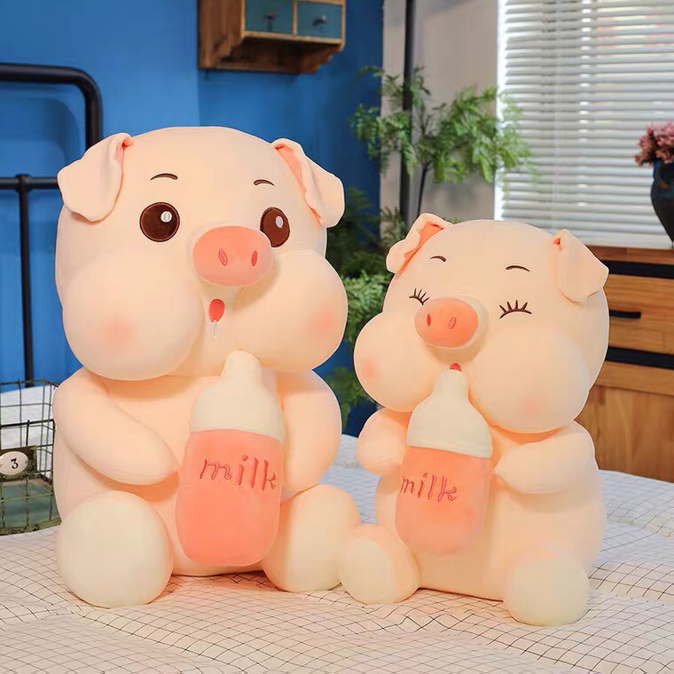 Heo ôm bình siêu cute