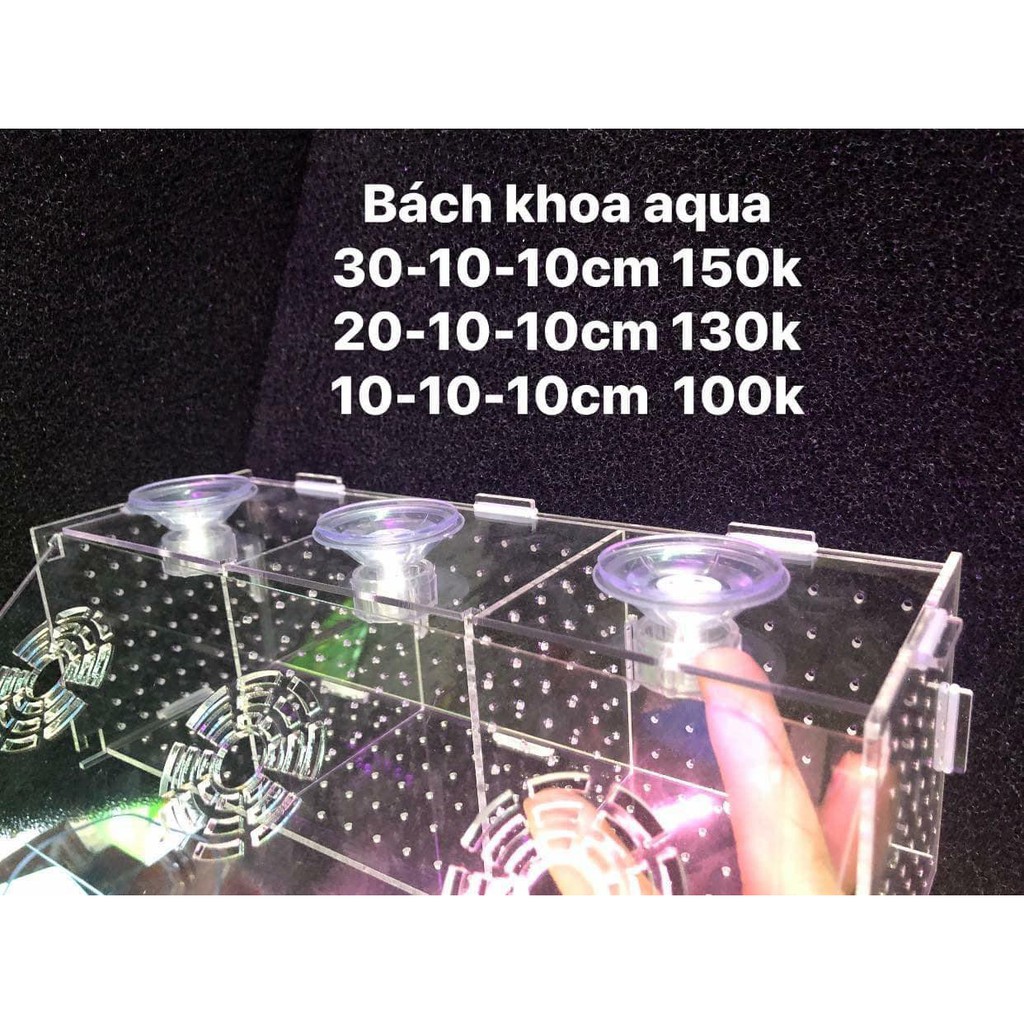 Lồng núm cho cá