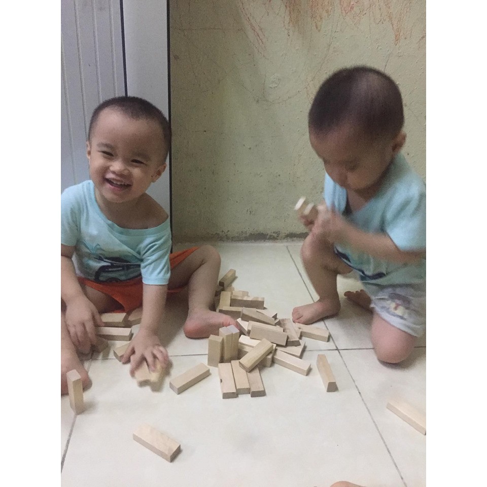 Thanh gỗ Bạch Dương, JenGa, Xếp Hình DOMINO 1kg 55-60 tấm  giúp trẻ vui chơi sáng tạo