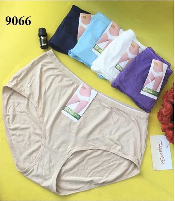 [Nhiều mẫu QUẦN LÓT NỮ THUN SIZE ĐẠI, BIGSIZE | BigBuy360 - bigbuy360.vn